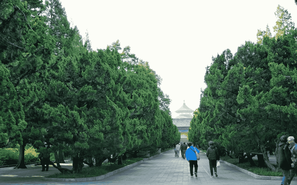 Foreigners Visiting Beijing—Temple of Heaven